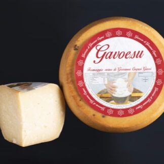 Gavoesu formaggio da tavola di Gavoi forma intera